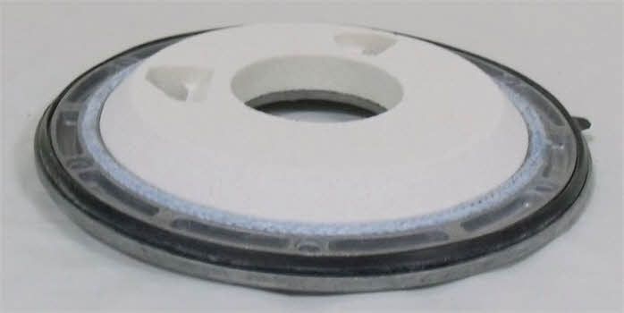 6000083950 NTI Ceramic Burner Door Disc Replacement Part