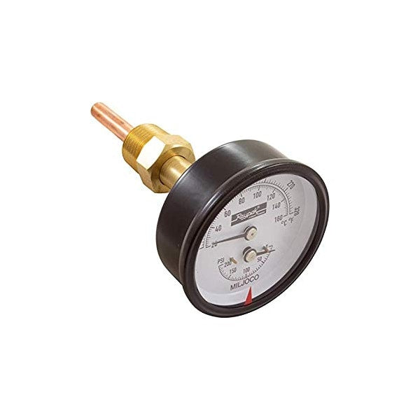007399F Raypak Temperature & Pressure Gauge Kit