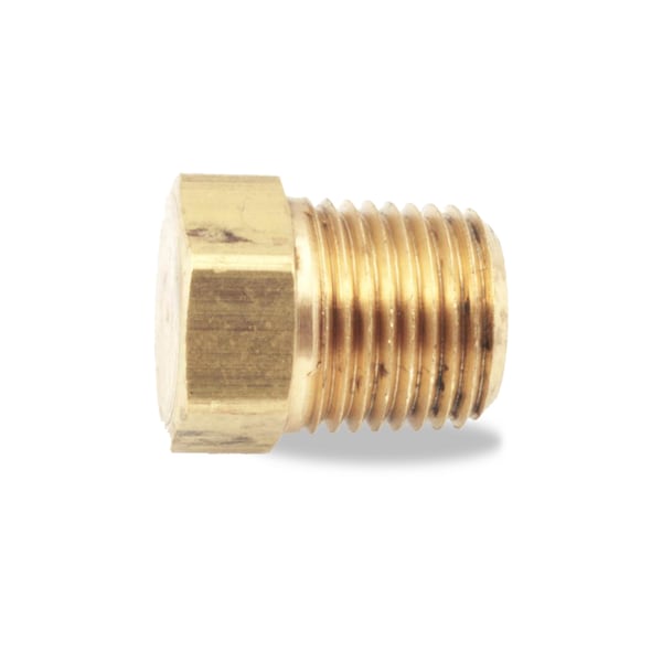 017058F Raypak Hex Head Plug for 1 Inch Pipe