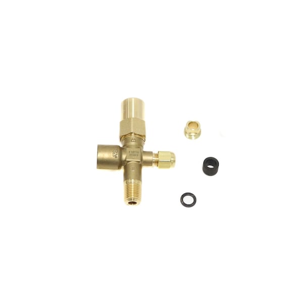 022-09503-000 York Discharge Valve