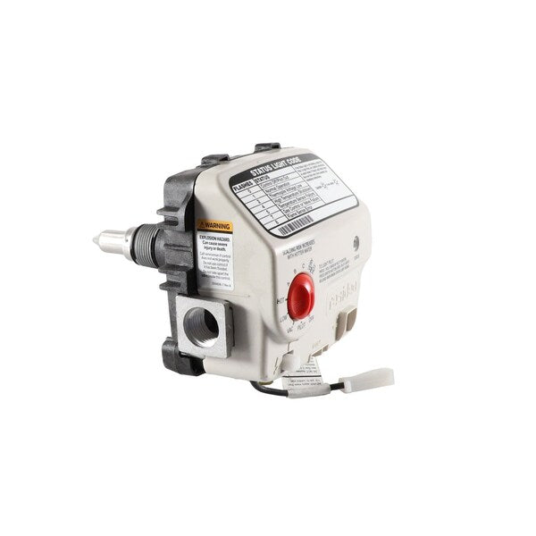 100093979 Lochinvar Valve Assembly
