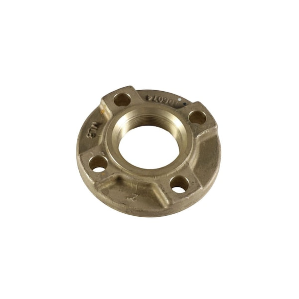 100133564 Lochinvar 2 in. NPT Pump Flange