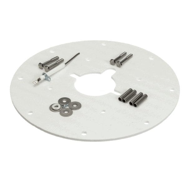 100187882 A.O. Smith Flame Sensor with Gasket
