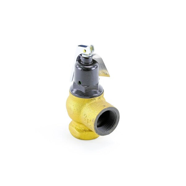 100208450 Lochinvar 3/4 in. x 1 in. 75# Relief Valve