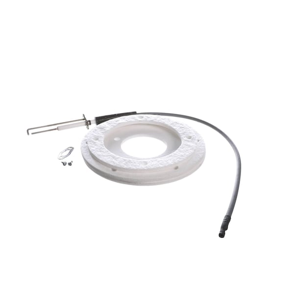 100271888 A.O. Smith Spark Igniter Assembly (with gasket)