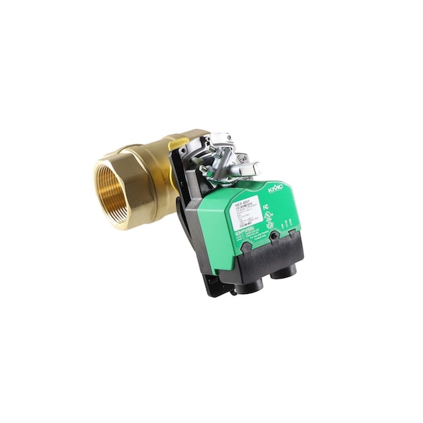 100276831 Lochinvar 2 1/2 in. 3W Bypass Valve