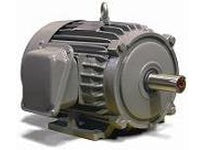 NP0104C Teco 10 HP 1800 RPM Motor
