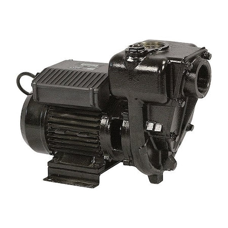 Piusi F00321010 Electric Drum Pump, 220 V AC, 30 gpm