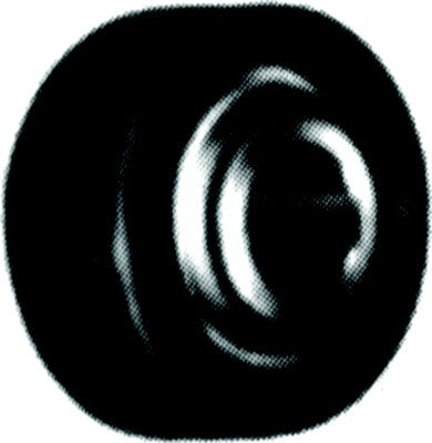 38244303 LAU Sealed Bearing with Insulator