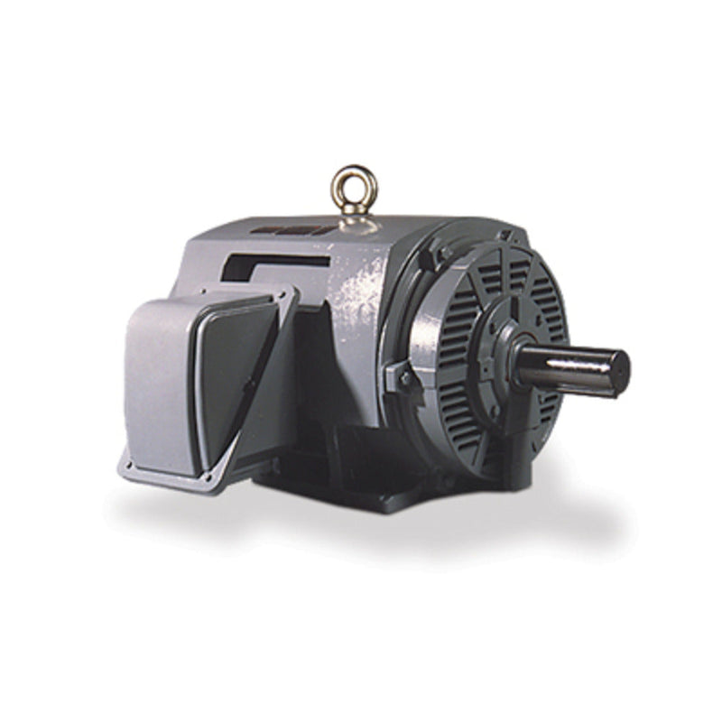 DHP0204G Teco 20 HP Three Phase General Purpose Motor