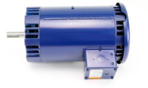 DM0442 Hoffman Variable Speed Motor, 1750 RPM