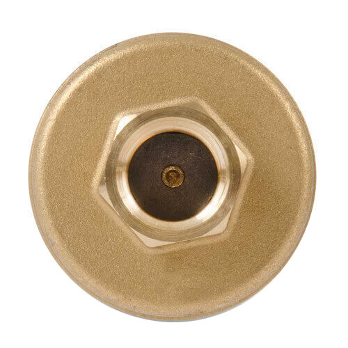 113246 Bell & Gossett No. 98 Air Vent High Capacity