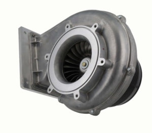 100267460 Lochinvar Fan Assembly
