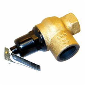 100208442 Lochinvar 3/4 in 50 psi Relief Valve Set