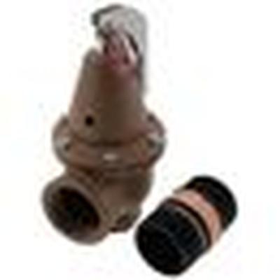 F383542 Watts Boiler Pressure Relief Valve, Iron, 30 psi