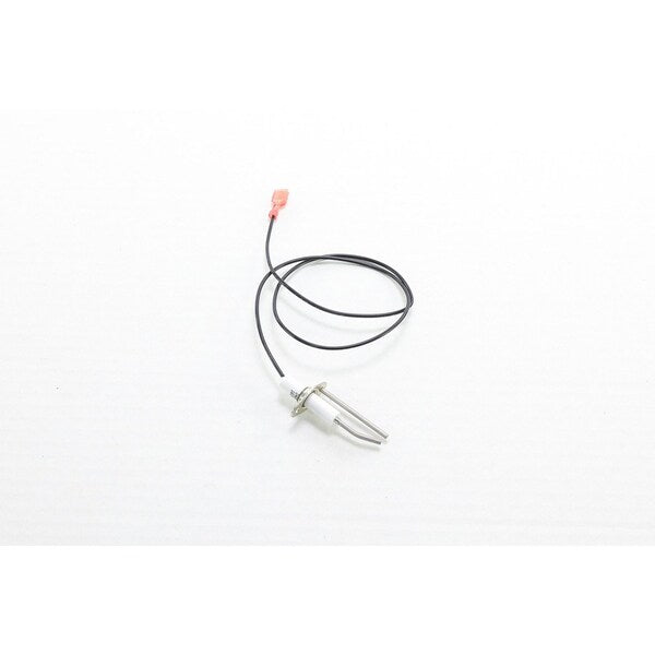 195874 Reznor DSI Electrode Assembly