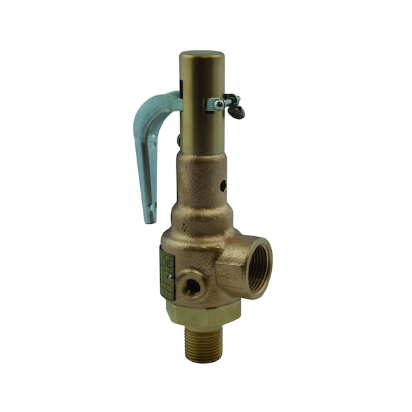 19-KGFA-100 Conbraco Steam Relief Valve for overpressure protection