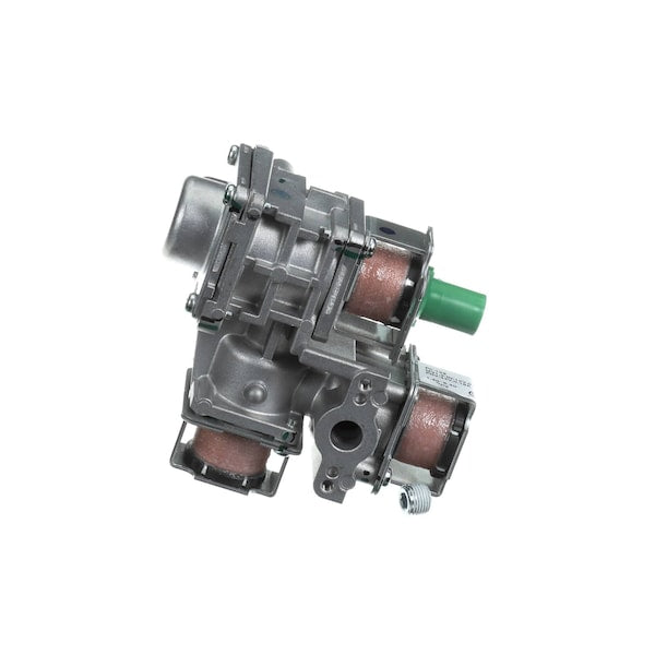 206000051 Rinnai Gas Control Assembly for EX38C