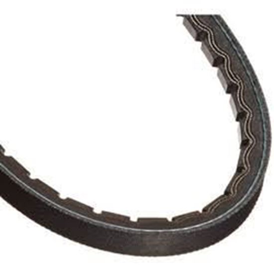 5VX650 Carrier V-Belt (65 in OC Super HC)