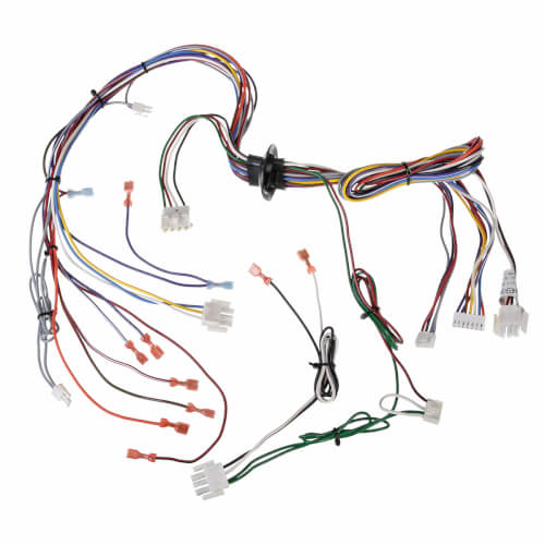 45-104202-01 Rheem Wiring Harness Assembly