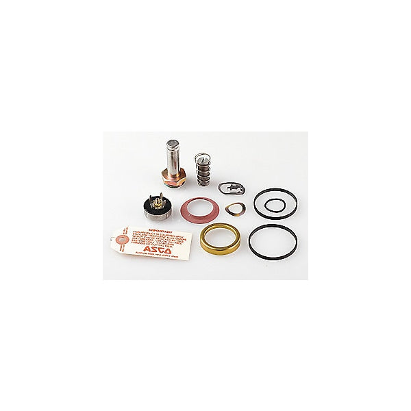 310716 Asco Rebuild Kit 8220 AC
