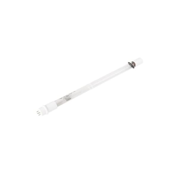 64X56 Lennox Lamp, genuine OEM replacement part