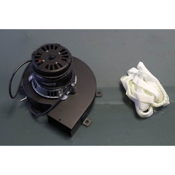 70-21496-83 Rheem 120V Induced Draft Blower Motor with Gasket
