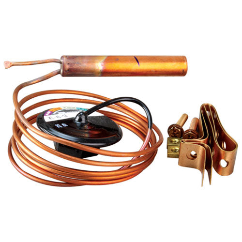 180399P Parker Thermal Expansion Valve (KT-46-SZ Power Element, 60 inch Cap)