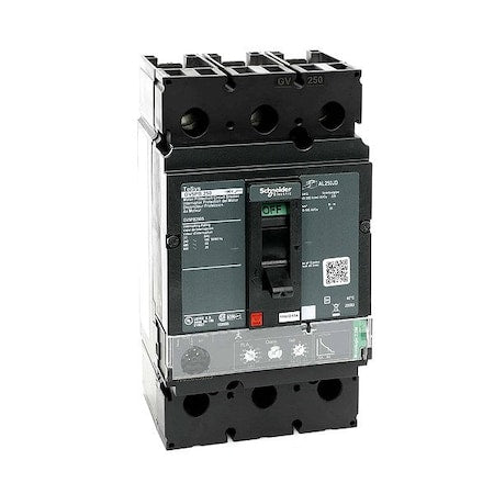 Schneider Electric GV5PB250S Contactors & Overload Relays