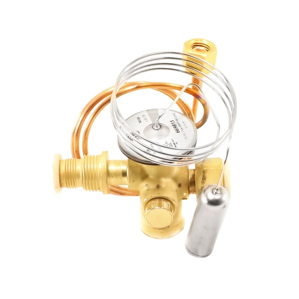 920669A Nordyne Expansion Valve for R410A