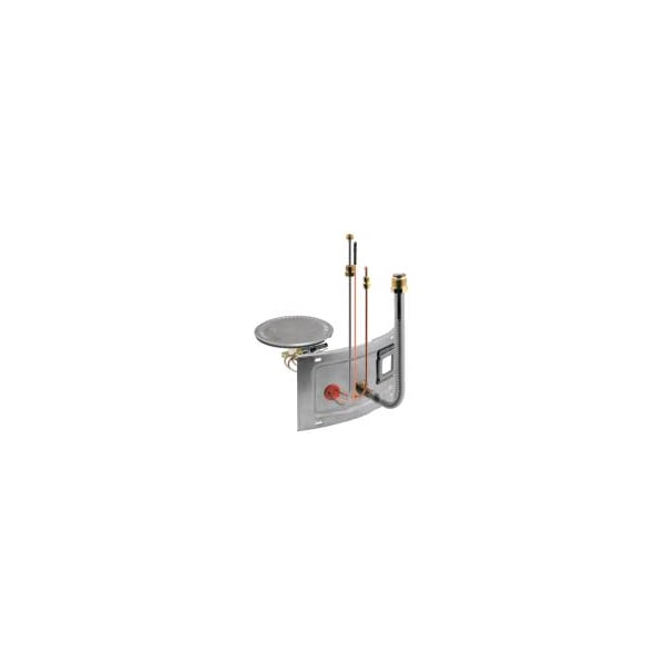 AM40277-1 Rheem Burner Assembly