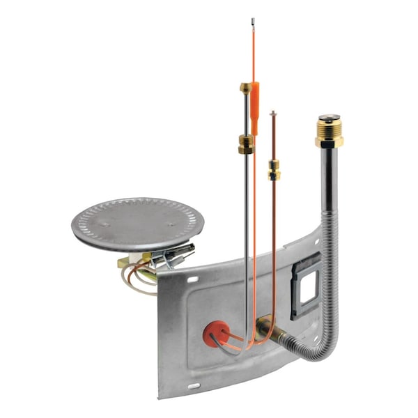 AM41863 Rheem Burner Assembly with Door