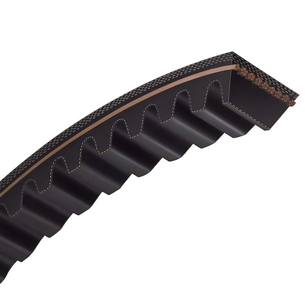 CX136 Gates Cogged Classical V-Belt (7/8 in Top Width, 3553 mm Outside Length)