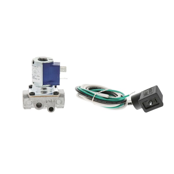 H91AA-4C REVB Baso Genuine OEM Gas Valve
