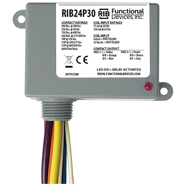 RIB24P30 Functional Devices-Rib Enclosed Pre-Wired Relay, DPDT, 24V AC/DC, 30A
