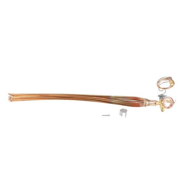 S1-025-49689-000 York TXV/Distributor Expansion Valve