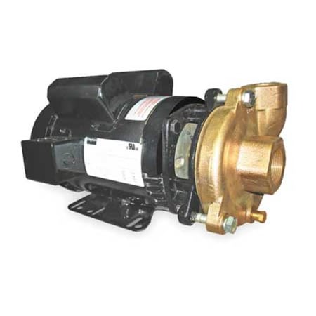 DAYTON 2ZWT4 Bronze/Brass 2 HP Centrifugal Pump 115/208-230V