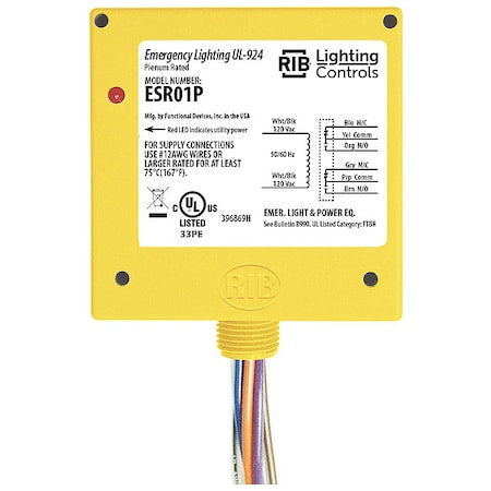 Functional Devices-Rib ESR01P Enclosed Pre-Wired Relay, 20A at 300V AC, DPDT
