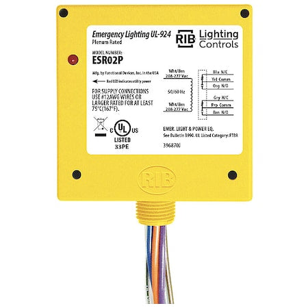Functional Devices-Rib ESR02P Enclosed Pre-Wired Relay, 20A at 300V AC, DPDT