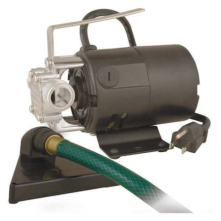 FLINT & WALLING 023817 Utility Pump, 6 ft, 120V AC