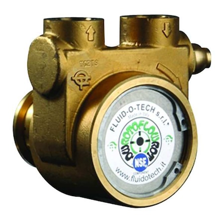 Fluid-O-Tech PB0801ANDNN0000 Rotary Vane Pump, 1/2