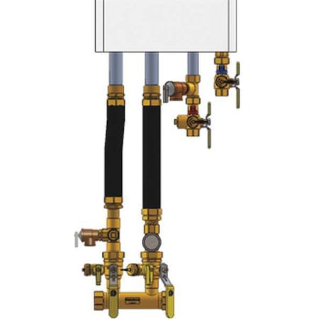 Webstone 4FK5-CH Boiler Inst Kit, 1 in, 1 in FIP, Dbl Ball Drin