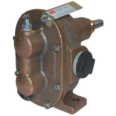 DAYTON 4KHG8 Rotry Gear Pump Head, Bronze, 3/4