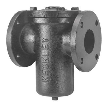 Keckley 51FFS-CI125P34-FBI-GFV Basket Strainer, 5