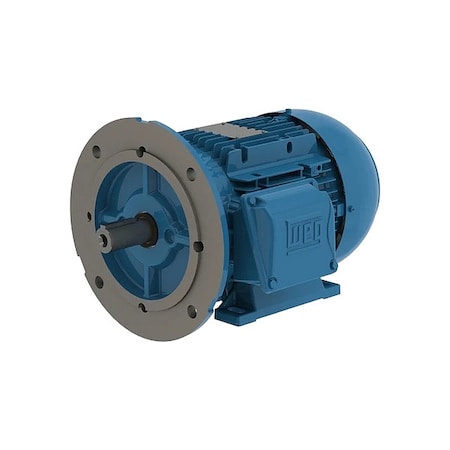 Weg 13984008 Three-Phase General Purpose Motor, 2 HP, 90S Frame, 460V AC Voltage, 3485 rpm Nameplate RPM