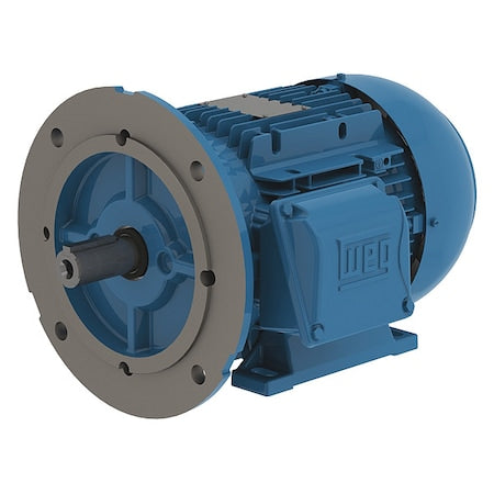 Weg 13984021 Three-Phase General Purpose Motor, 3 HP, 90L Frame, 460V AC Voltage, 3480 rpm Nameplate RPM