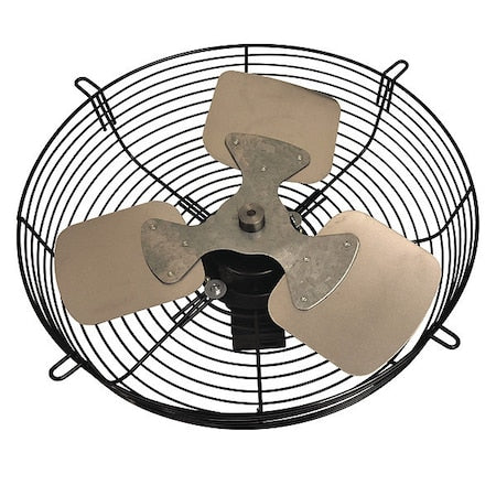 DAYTON 484X54 Guard Mounted Exhaust Fan, Blade 16