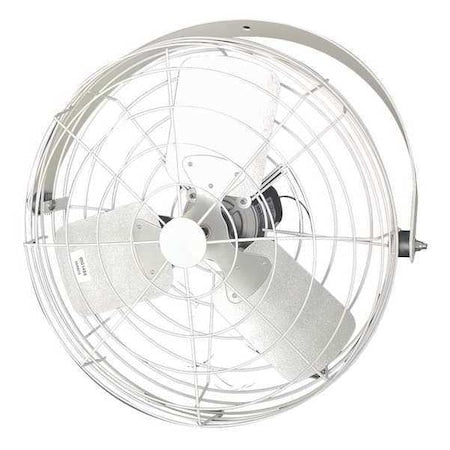 DAYTON 20B4WV-W-G Corrosion Resistant Industrial Fan, Ceiling, IBeam, Wall Mount, 20 in Blade Dia, 115/230V
