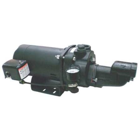 DAYTON 5UXK0 Shallow Well Jet Pump, CI, 3/4 HP, 115/230V