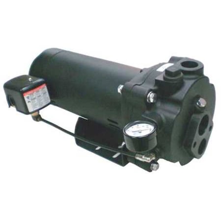 DAYTON 5UXK5 Convertible Well Jet Pump, 1 hp, 115/230V AC